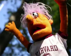 A puppet from the Harvard EdX online course.