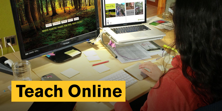 Troubleshooting Checklist for Online Instructors