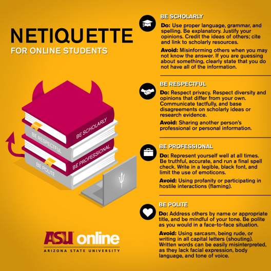 essay about netiquette in online class